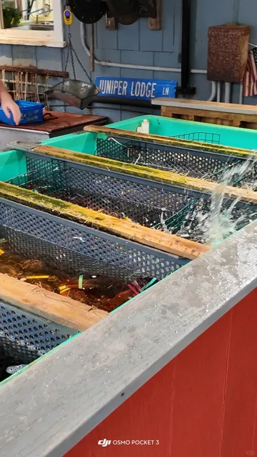 Acadia 🦞 | Every Spot Serves Lobster—But No Two Are the Same 🧐