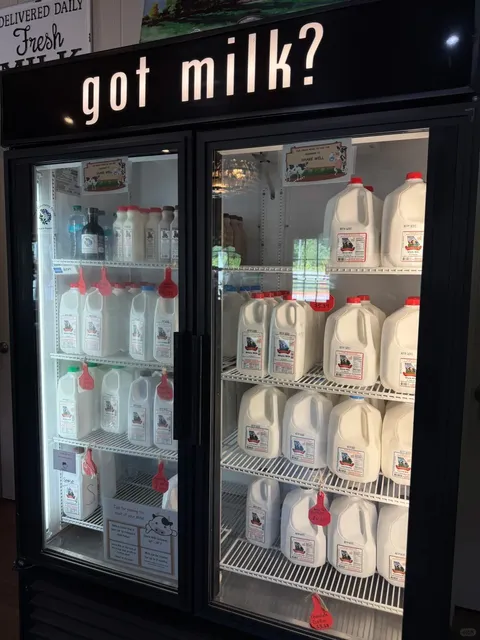 Hidden Gem Dairy Shop Near Atlanta | Mountain Fresh Creamery 🐄🍦