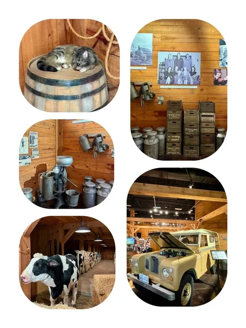 🌟 Charlotte Must-Visit Spot | The Amazing Billy Graham Library 🌟