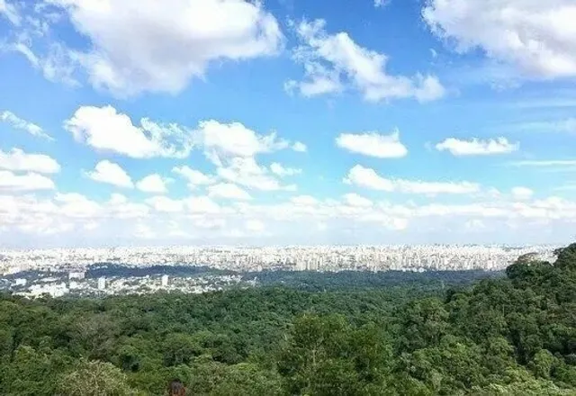 🌳🏞 São Paulo’s Green Lung: Cantareira State Park Guide
