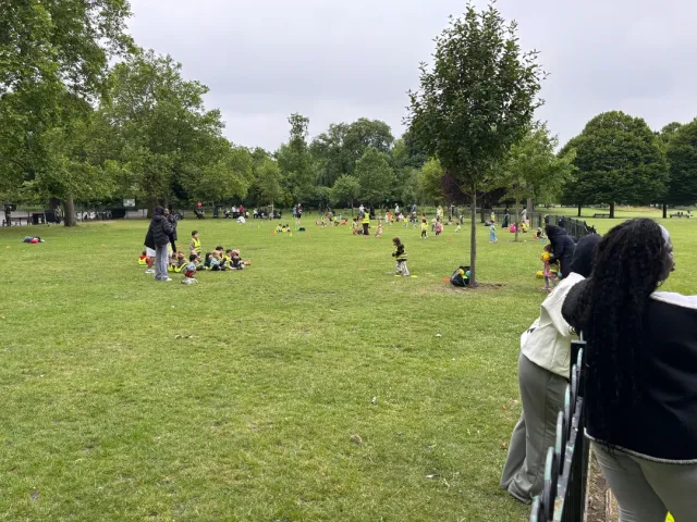 A Peaceful Neighborhood Park – A Perfect Way to Unwind 🌳🦆