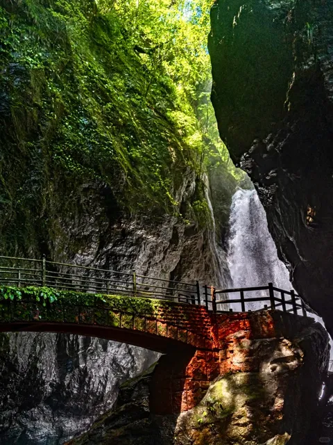 🗼 Japan | Tokyo's Surrounding Gems!