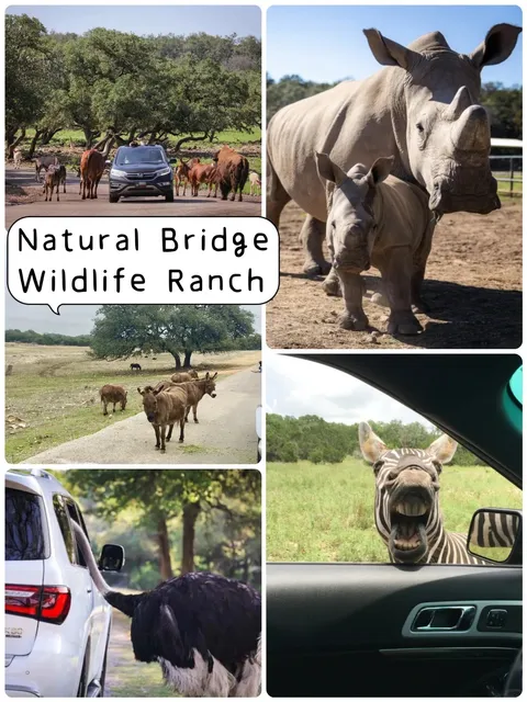 Texas | A Super Packed 2-Day San Antonio Itinerary