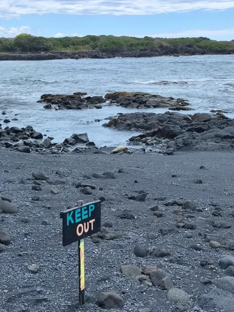 🌺 Budget Travel Guide: Honolulu, Hawaii on a Budget