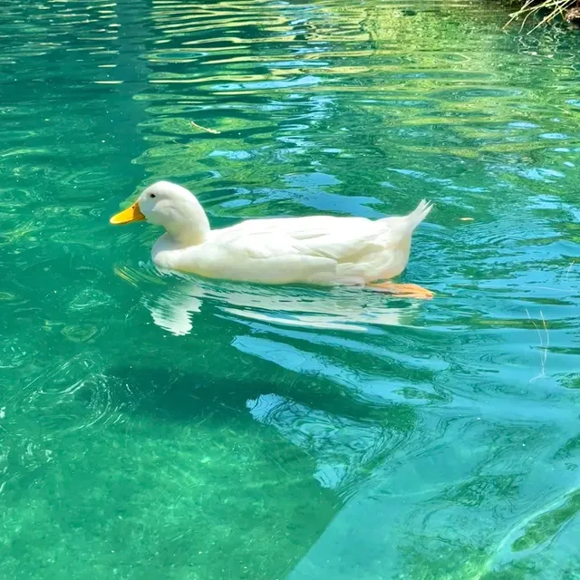 ​​Laguna Lake Park 