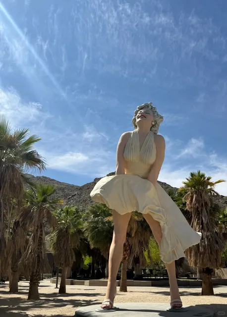 🇺🇸 Palm Springs + Joshua Tree One-Day Trip 🌴