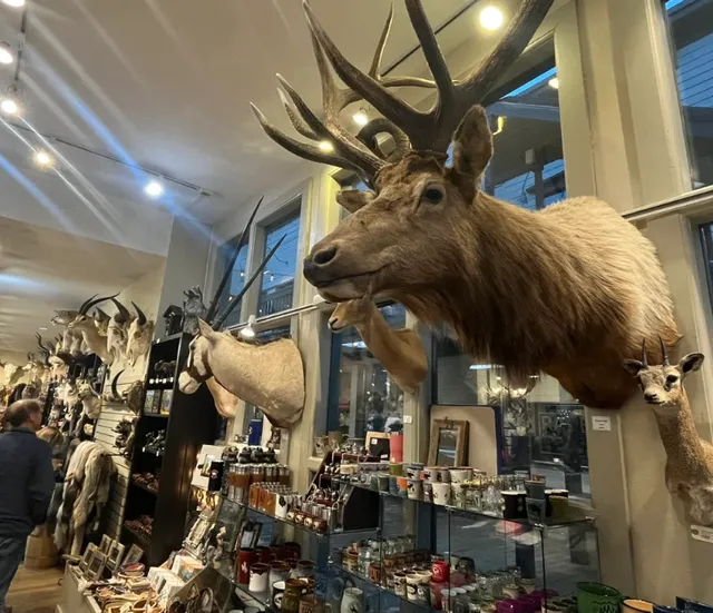 Discovering a Fascinating Shop in Jackson, US