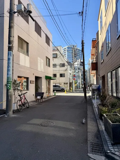 Tokyo 24-Hour Power Walk of 30,000 Steps (2) 🚶‍♂️