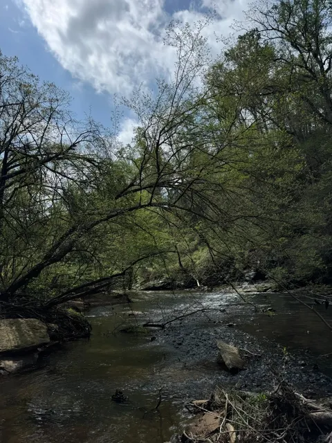 🇺🇸 Where I Took My Parents in Atlanta!