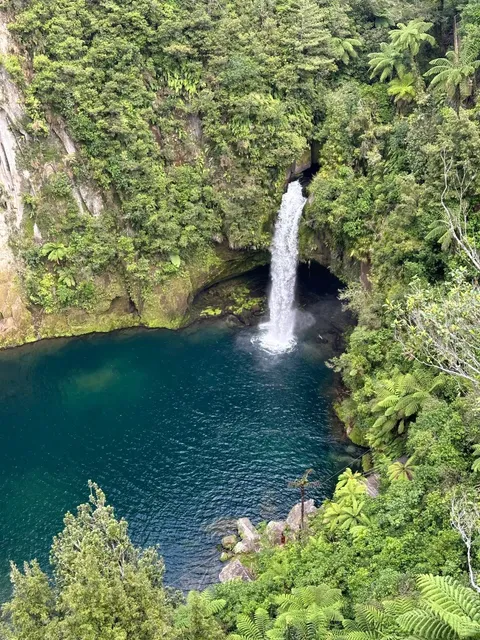 🇳🇿 New Attraction Near Tauranga: Omanawa Falls 🌿