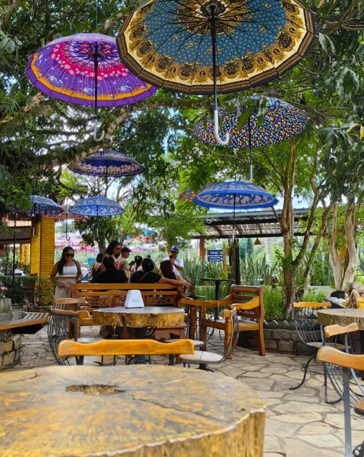 Wine Tasting Experience at Don Patto Village