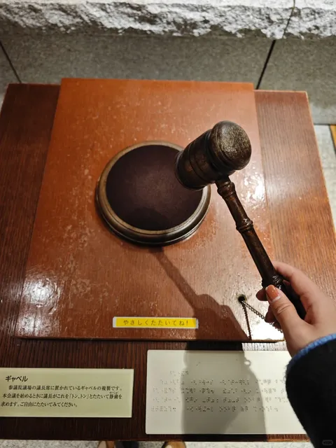 Tokyo Hidden Gem✨ Visit the House of Councillors Even Without Japanese