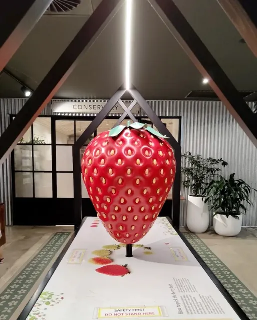  South Australia Adelaide 7-Day In-Depth Trip — Day 1