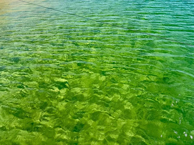 A Hidden Gem Near Las Vegas 💚 Emerald Cove - Absolutely Stunning!