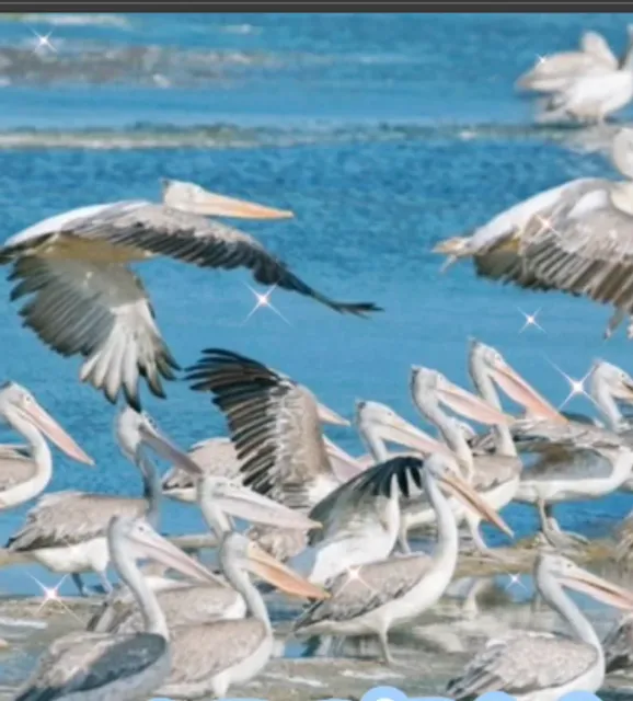 When Dreams Come True