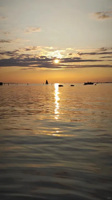 🇦🇹 Summer Exclusive | My Bregenz Festival Diary