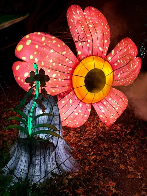 🇺🇸 Must-See Dragon Lantern Festival Near Chicago & Milwaukee