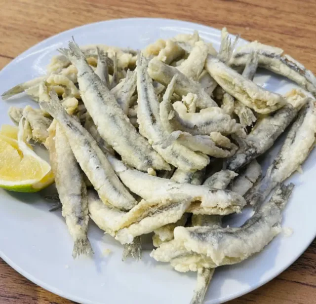 🍴 Málaga: A Foodie’s Dream—Old Town’s Alaska Tavern Steals the Show!