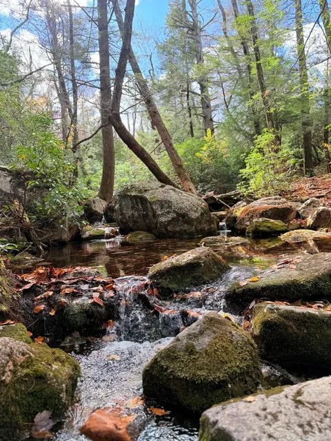 NYC’s Best Scenic Hike – My Top Pick!