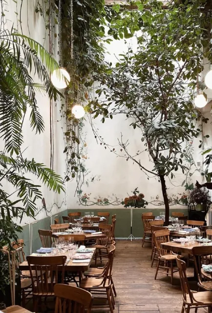 Calle Colima Gourmet Guide | Roma's Culinary Epitome