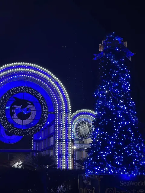 Christmas Vibes Are in Full Swing! 