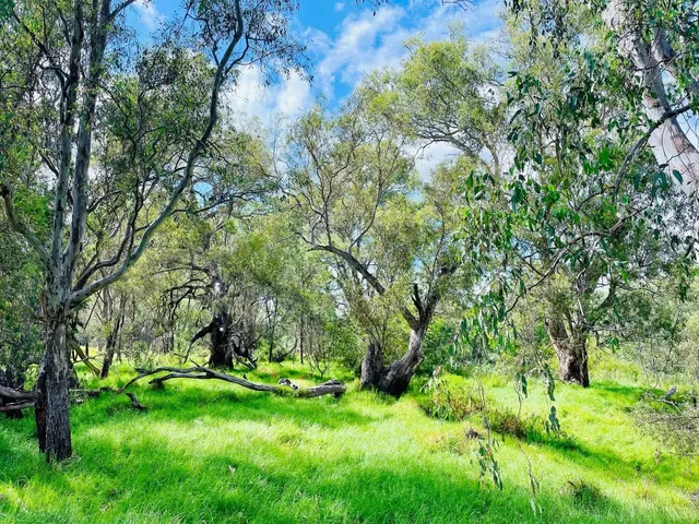 🌿 Southeast Australia Trip (Day 3) – Albury: The Charming Border Town