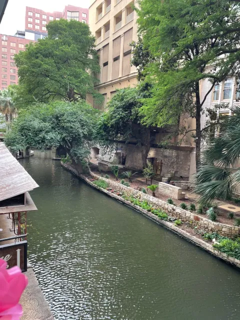 A Last-Minute Stop That Delighted Us! 🍸✨