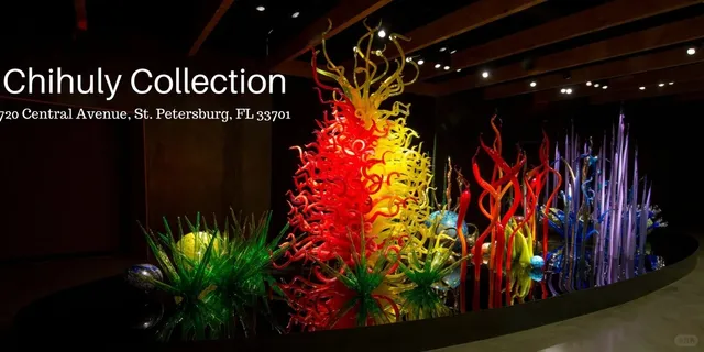 Where Beauty and Soul Shine 