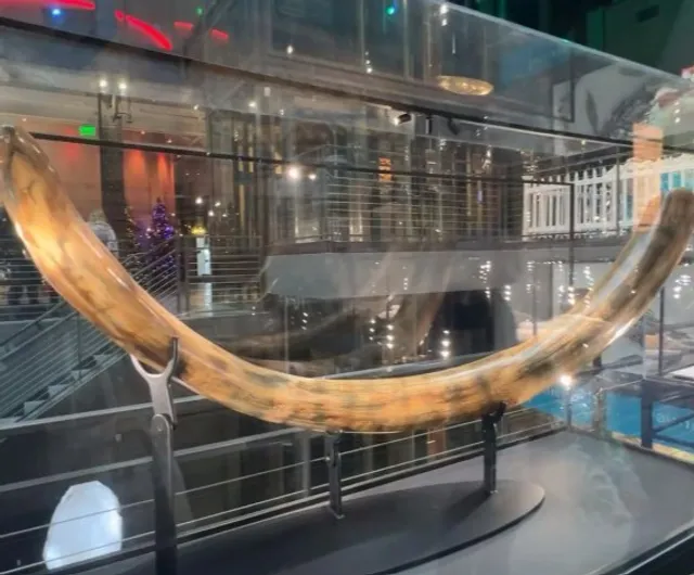 🏨 Savannah Riverfront Marriott | A Reliable Riverfront Anchor