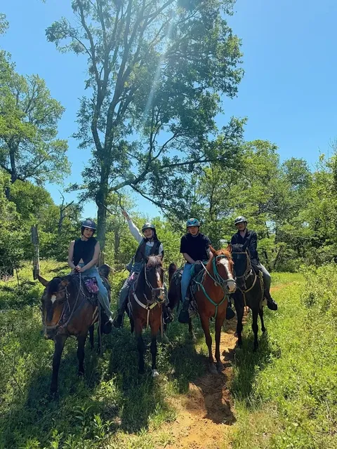 Dallas Day Trip | Horseback Riding Is So Much Fun!