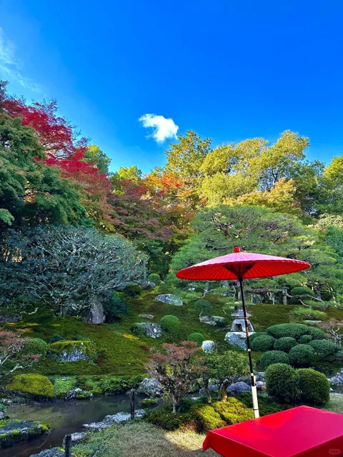 A Perfect Day at Mount Hiei's Enryaku-ji and Gion Shrine 🍁  (2)