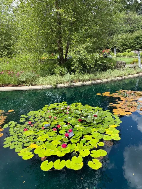 A Serendipitous Summer Escape at Royal Botanical Gardens' Rock Park 🌿