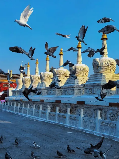 🚶‍♂️ Hohhot One-Day City Walk Guide