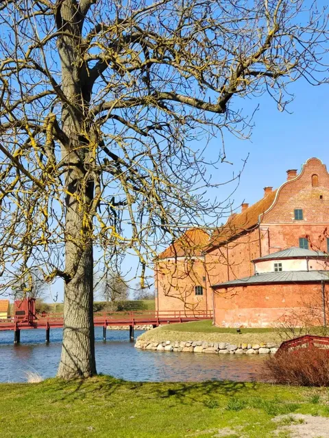 🍍｜Systembolaget – A Must-Visit for New & Current Students