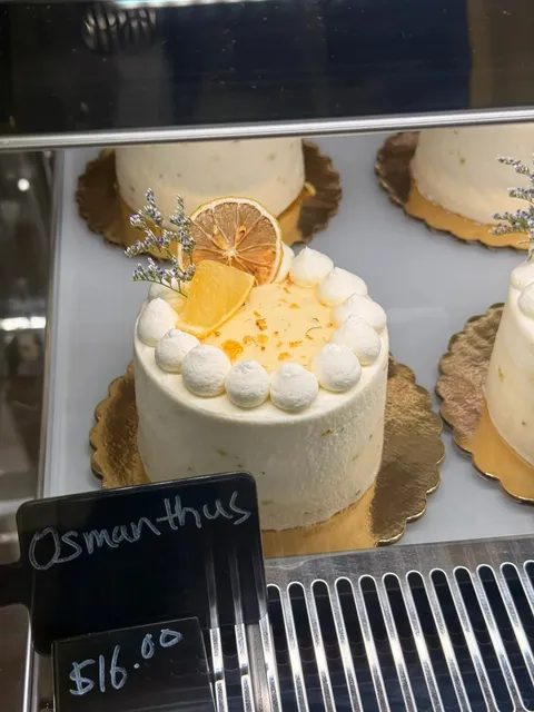 Madison｜New Cake & Drink Spot on State St! 🍰