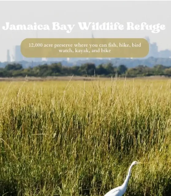 NYC’s Hidden Gems: Beyond the Tourist Trail 🚕🏙️✨