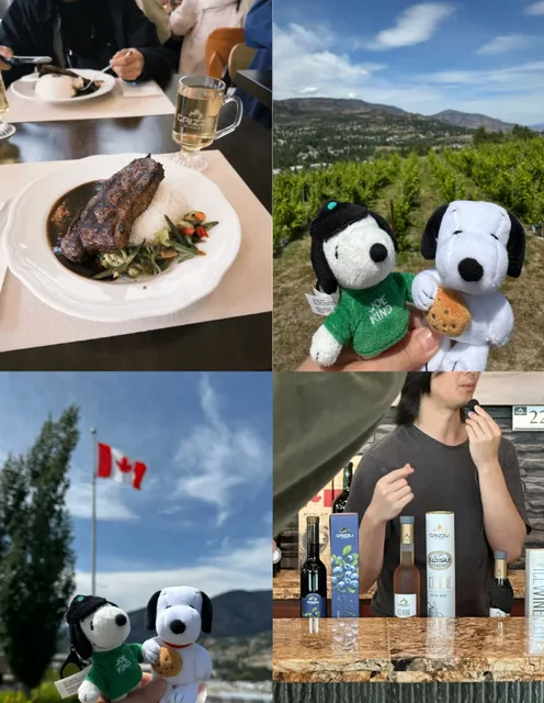 West Kelowna 🇨🇦｜Icewine Odyssey: Winery Tour & Gourmet Pairing