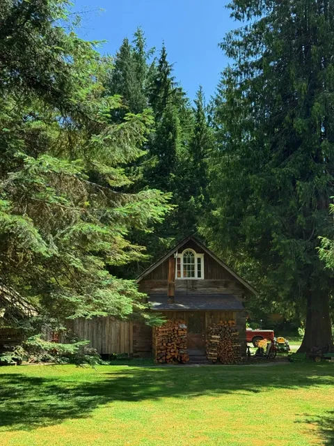 📍 Seattle, WA｜Summer Notes at Mt. Rainier 