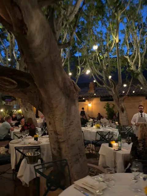 Romantic Dining French Cuisine