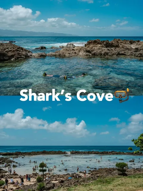 Hawaii, Oahu North Shore's Famous Snorkeling Spot 🤿 Shark’s Cove