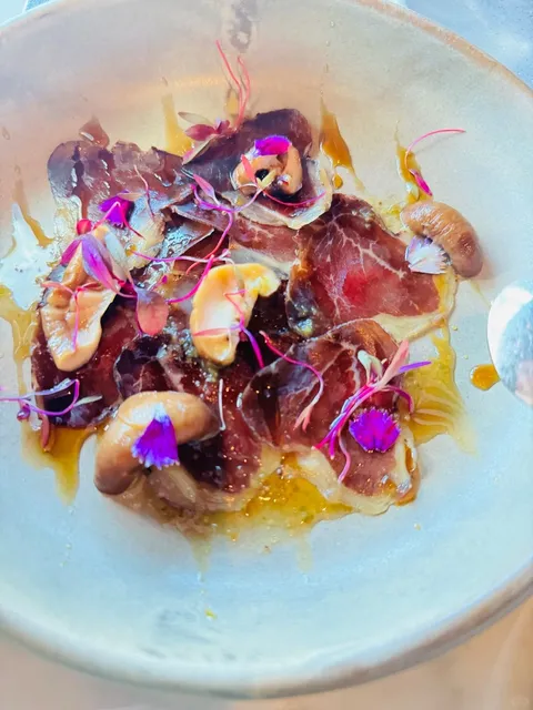 Auckland Birthday Party Highlight