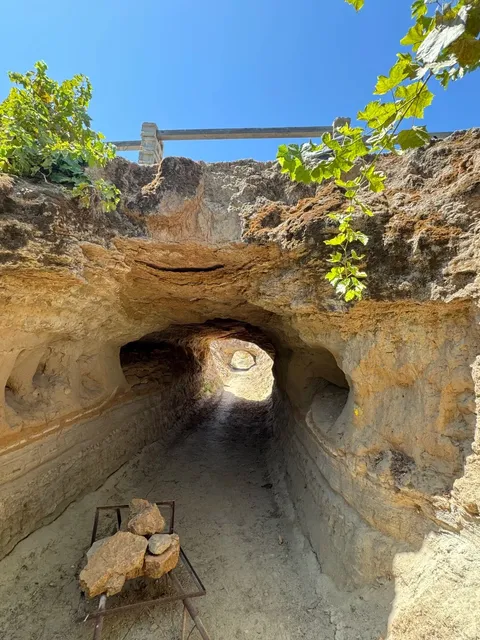 Discover the Hidden Underground Gardens of Fresno