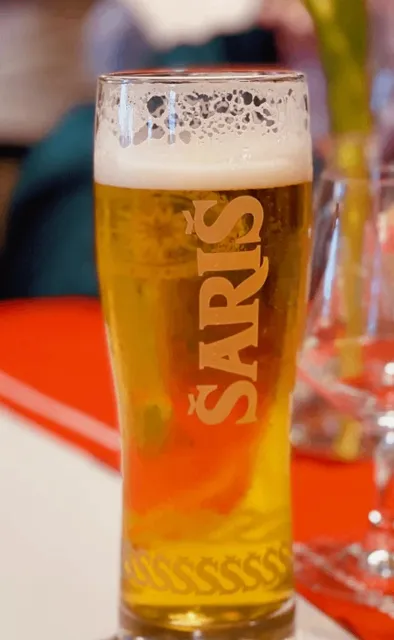 🇸🇰 Slovakia Hidden Gem Restaurants 