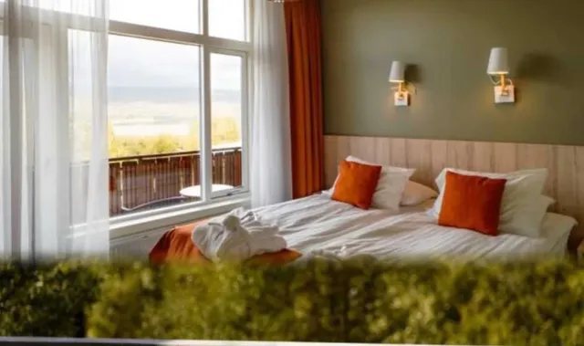 🌲 Hidden in Iceland's Forests: A Green Oasis Adventure