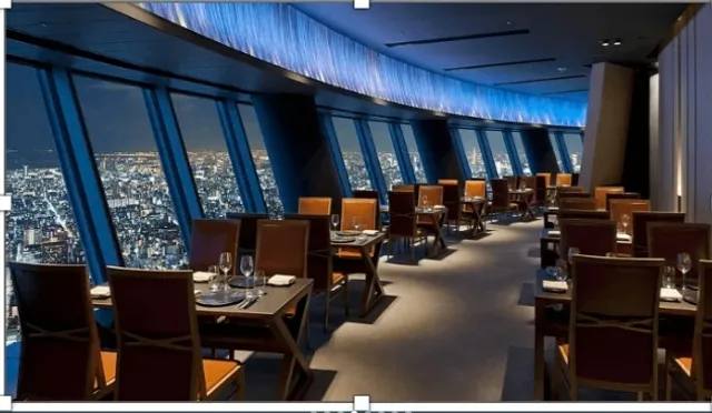 Tokyo Skyline Dining 🌆