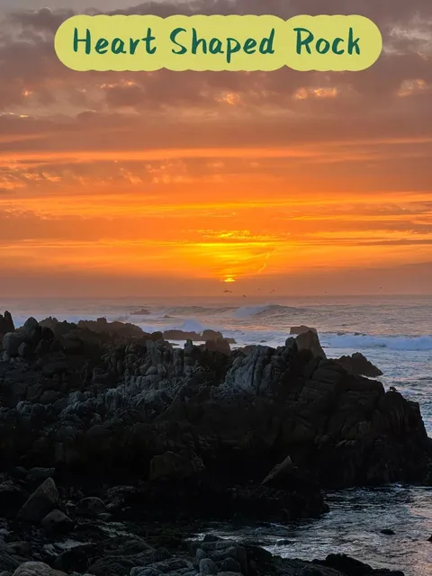 🇺🇸 Bay Area｜Must-Visit Spots! Monterey Day Trip Guide 🌊