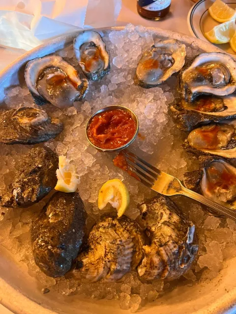 Best Oysters Ever! 😱🦪