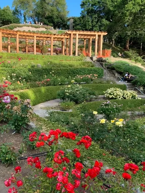 Places to Have a Quiet Cry at UCB 😢🌿