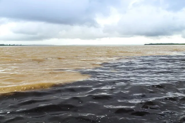 The Encounter of the Negro River and the Amazon Rive