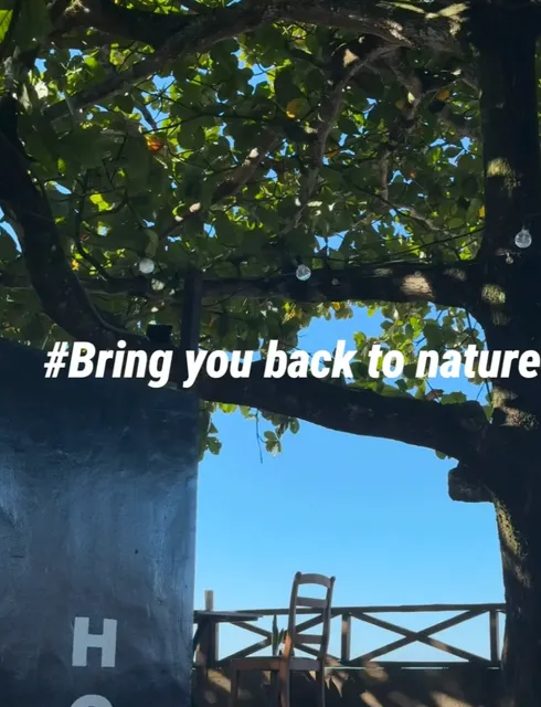 🌴 Madagascar | Ocean 501 - Where Waves Provide the Soundtrack